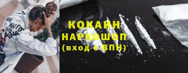 ГАЛЛЮЦИНОГЕННЫЕ ГРИБЫ Гусев