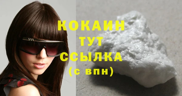 ГАЛЛЮЦИНОГЕННЫЕ ГРИБЫ Гусев