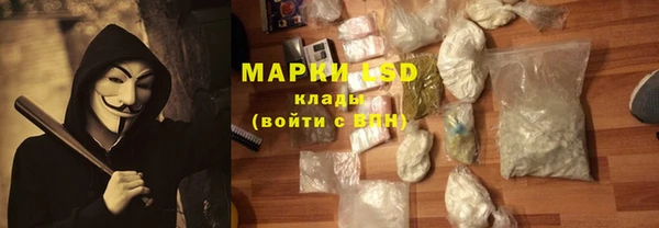 ГАЛЛЮЦИНОГЕННЫЕ ГРИБЫ Гусев