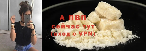 ГАЛЛЮЦИНОГЕННЫЕ ГРИБЫ Гусев