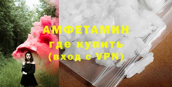 ГАЛЛЮЦИНОГЕННЫЕ ГРИБЫ Гусев