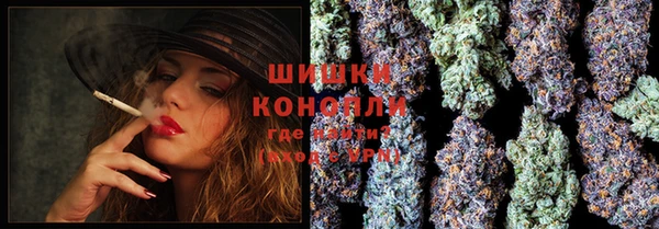 ГАЛЛЮЦИНОГЕННЫЕ ГРИБЫ Гусев