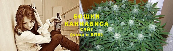 ГАЛЛЮЦИНОГЕННЫЕ ГРИБЫ Гусев