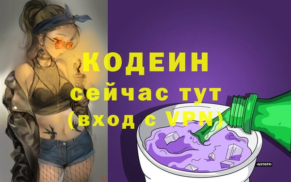 ГАЛЛЮЦИНОГЕННЫЕ ГРИБЫ Гусев