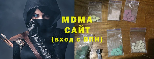 ГАЛЛЮЦИНОГЕННЫЕ ГРИБЫ Гусев