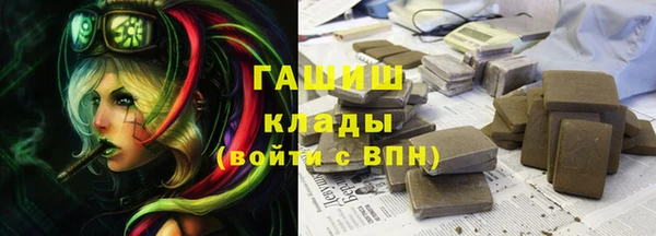 ГАЛЛЮЦИНОГЕННЫЕ ГРИБЫ Гусев