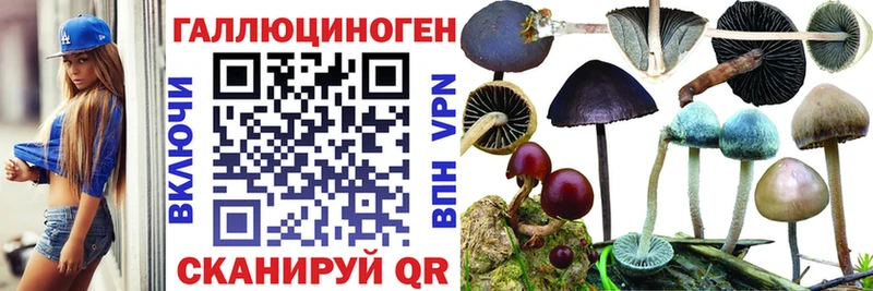 сколько стоит  Донецк  Галлюциногенные грибы Psilocybine cubensis 